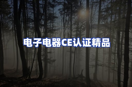 电子电器认证项目